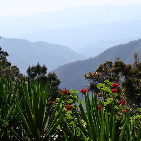 San Jose Del Pacifico- Cabanas Camino Al Cielo 1 المظهر الخارجي الصورة