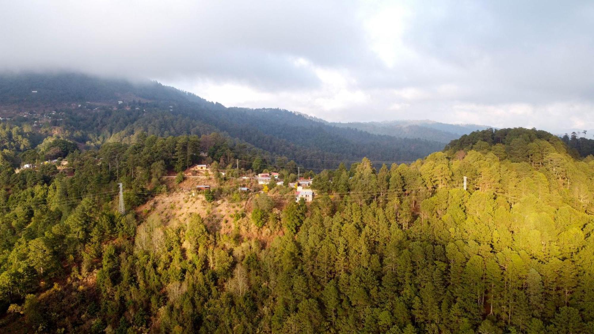 San Jose Del Pacifico- Cabanas Camino Al Cielo 1 المظهر الخارجي الصورة